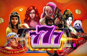 d333 bet